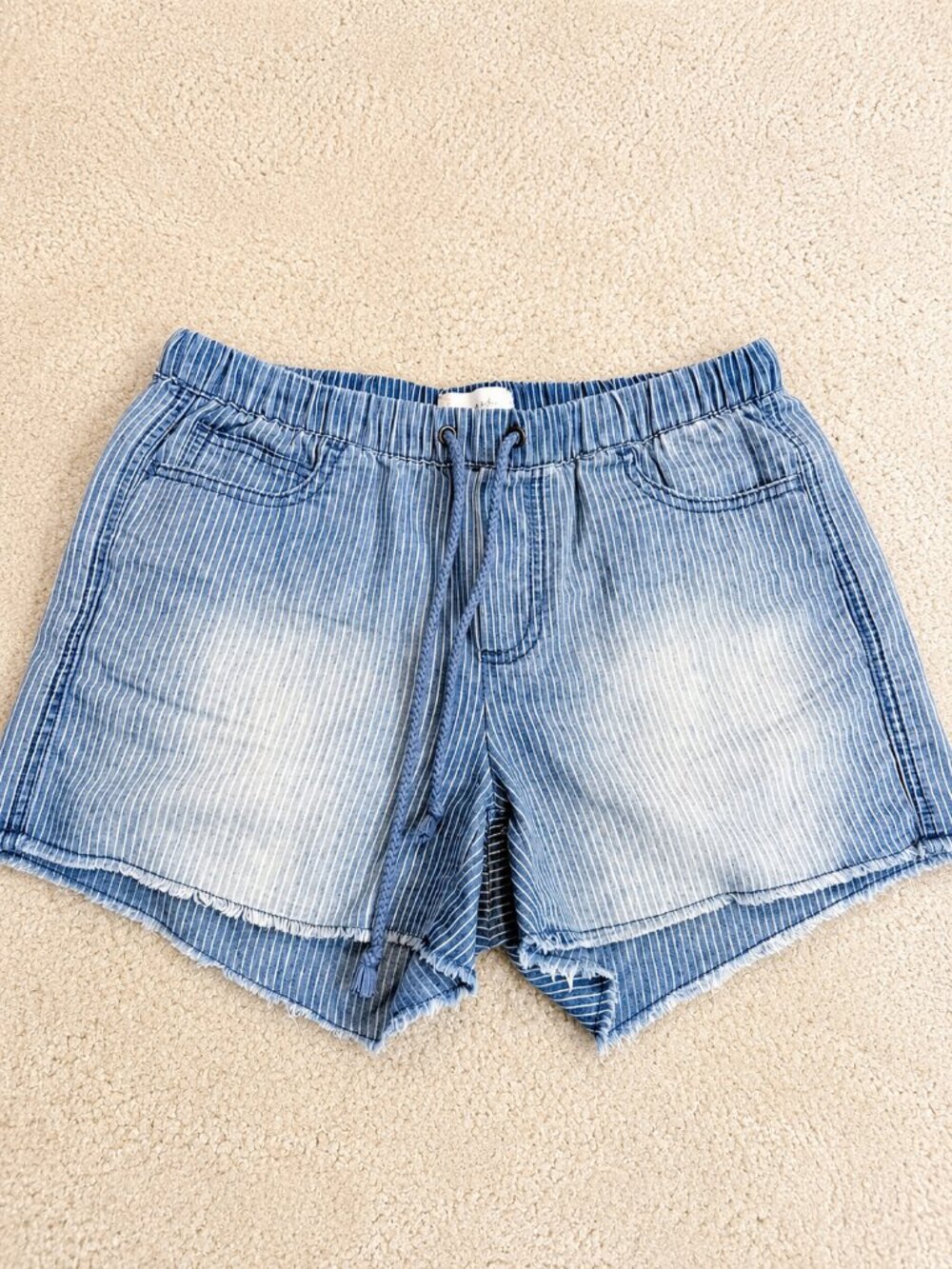 Altar’d Stare Casual Blue Striped Women's Drawstring Shorts